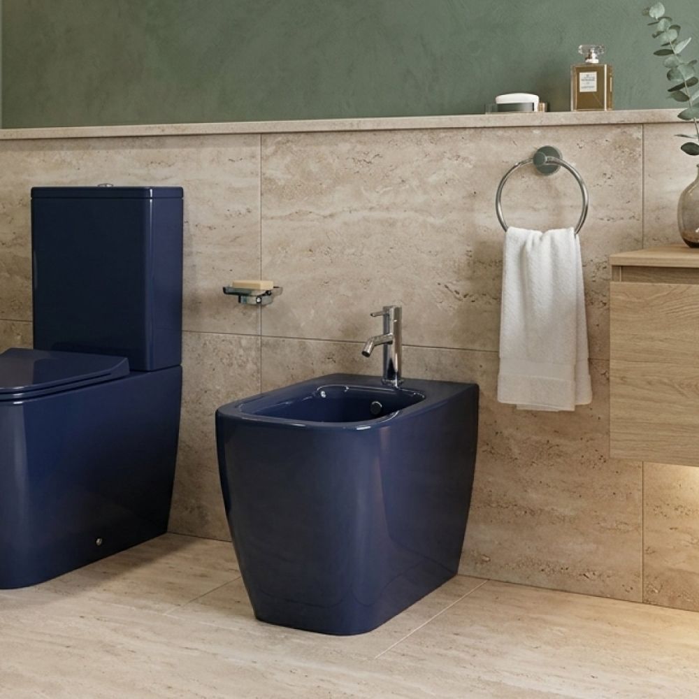 Micheli Capri Gloss Back to Wall Bidet