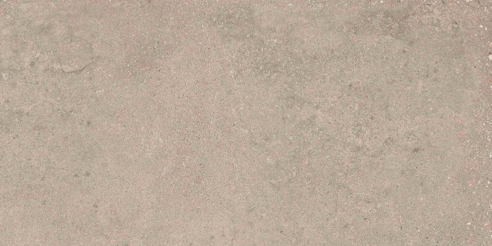 Hamburg Greige Matt Porcelain Tile 300x600mm