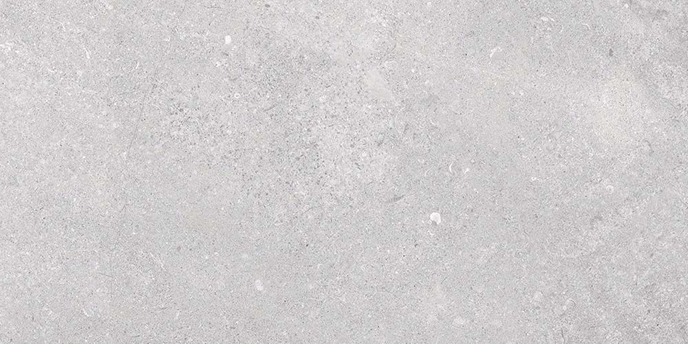 Arundel Light Grey Matt Porcelain Tile 500x1000mm