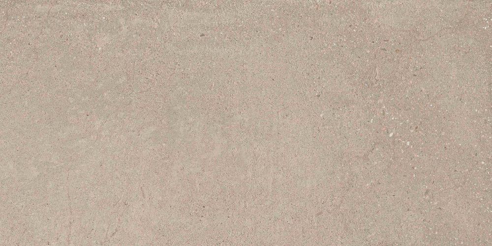 Hamburg Greige Matt Porcelain Tile 300x600mm