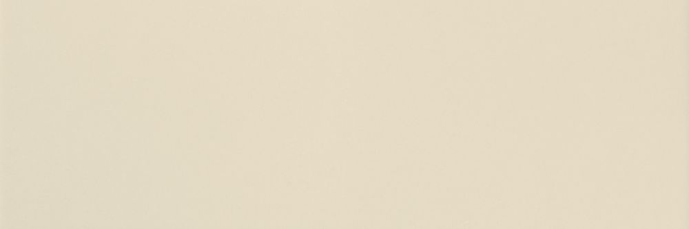 Luso Bone Gloss Ceramic Tile 100x300mm