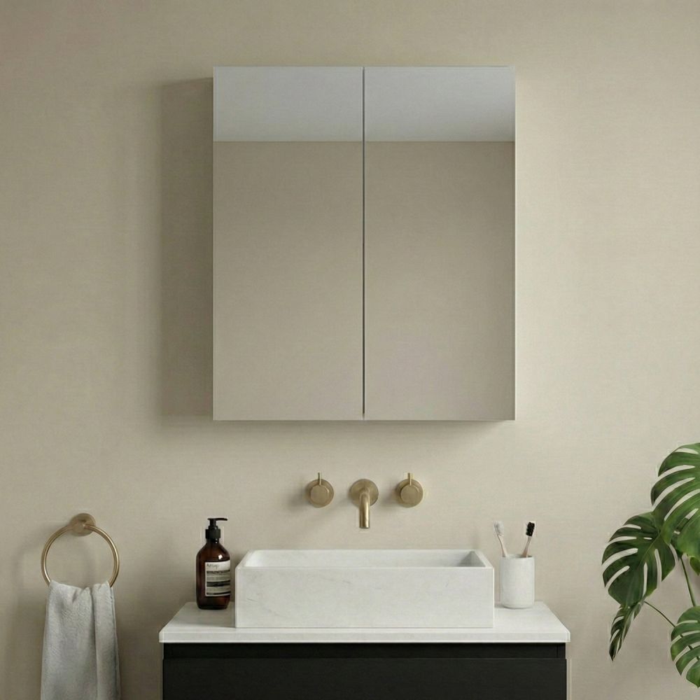 Neon Double Door Mirrored Wall Cabinet 600x703mm