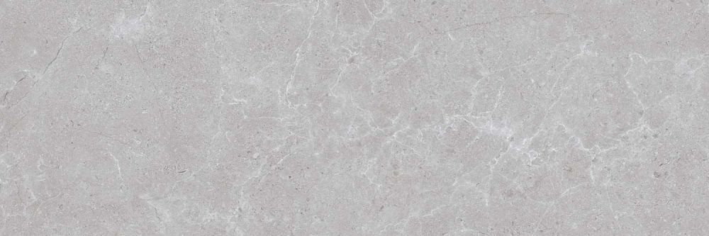 Houston Matt Grey Ceramic Tile 1200x400mm