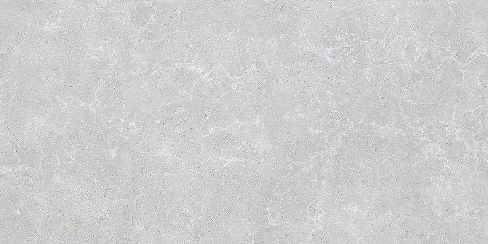 Houston Matt Grey Porcelain Tile 1200x600mm