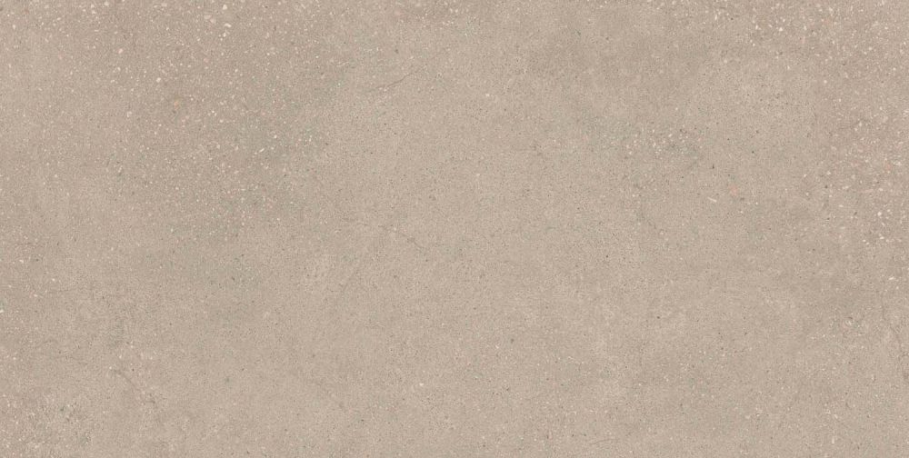 Hamburg Greige Matt Porcelain Tile 600x1200mm