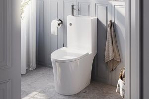 Image showingToilet & Sink Combination