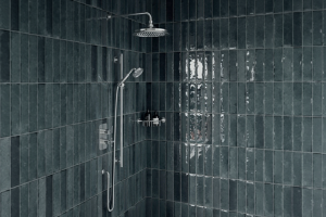 Image showingShowers