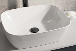 Image showingBasin Wastes