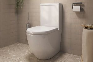 Image showingContemporary Toilets