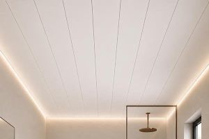 Image showingCeiling Panels