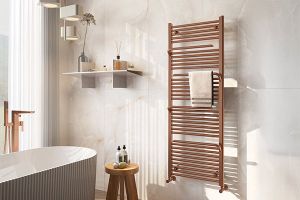 Image showingDual Fuel Towel Rails