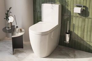 Image showingComfort Height Toilets