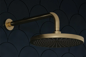 Image showingShower Heads