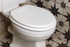Image showingToilet Seats