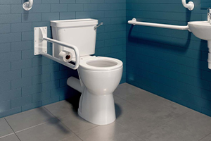 Image showingAccessible Toilets