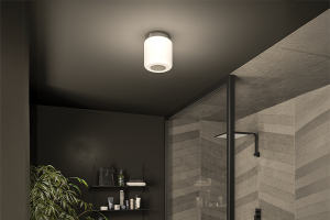 Image showingBathroom Ceiling Lighting