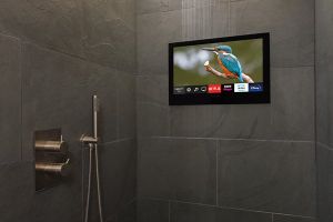 Image showingBathroom Televisions