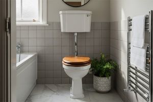 Image showingHigh Level Toilets