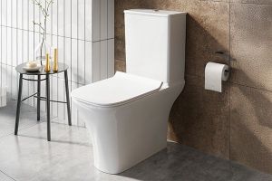 Image showingSquare Toilets
