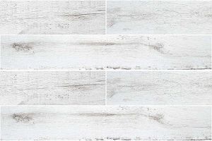 Image showingPlank