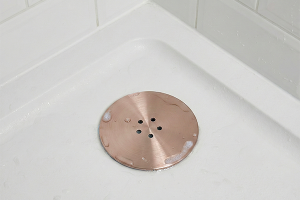 Image showingShower Wastes