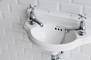 Image showingBasin & Pedestals