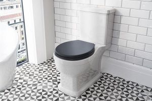 Image showingToilet Style